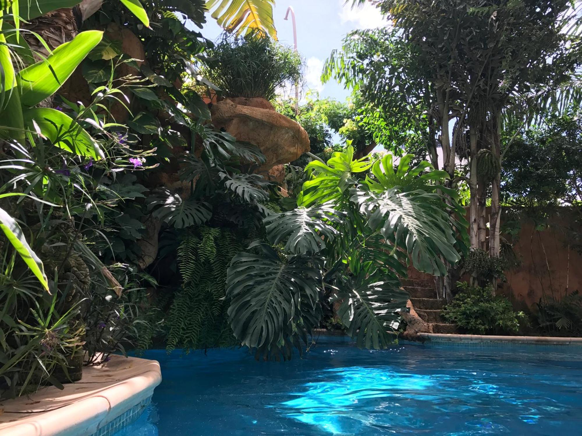Tropical Oasis Apartment Ouakam Exterior foto